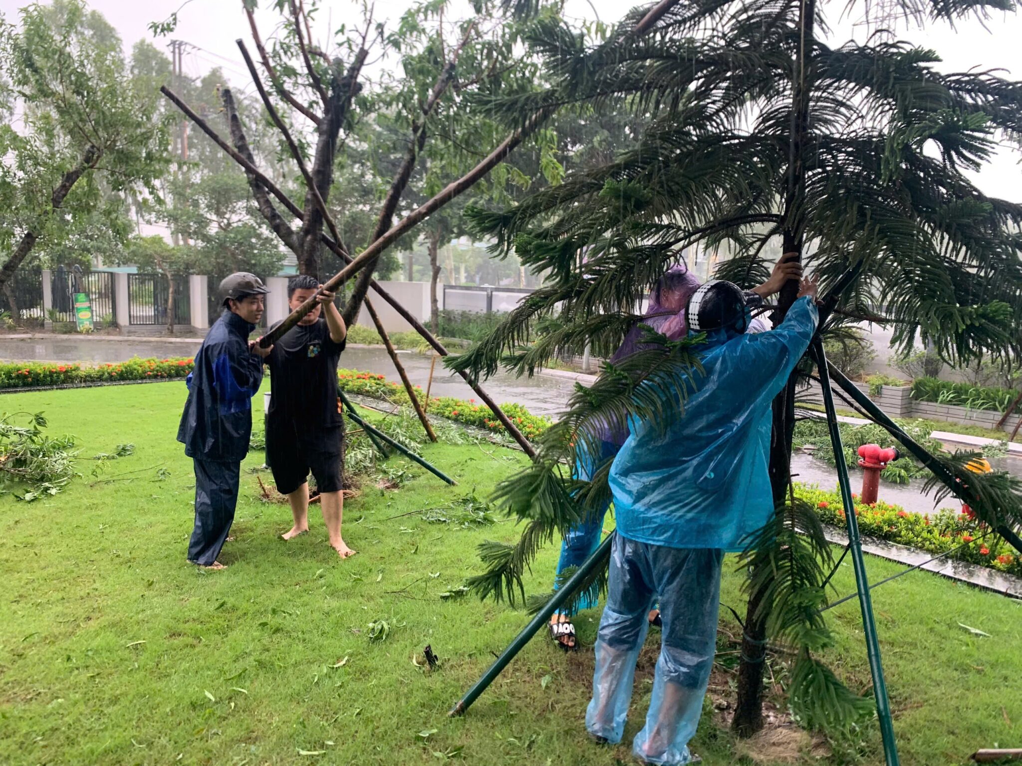 đội sinh viên đặc nhiệm HPC